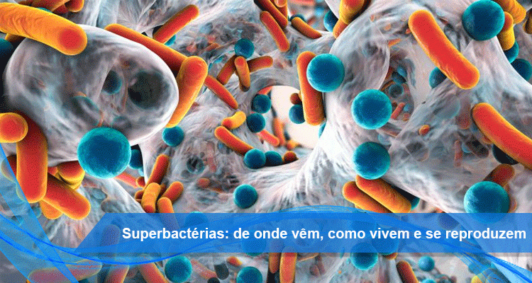 Superbactérias: de onde vêm, como vivem e se reproduzem
