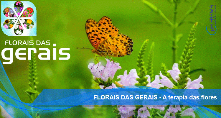 FLORAIS DAS GERAIS - A terapia das flores